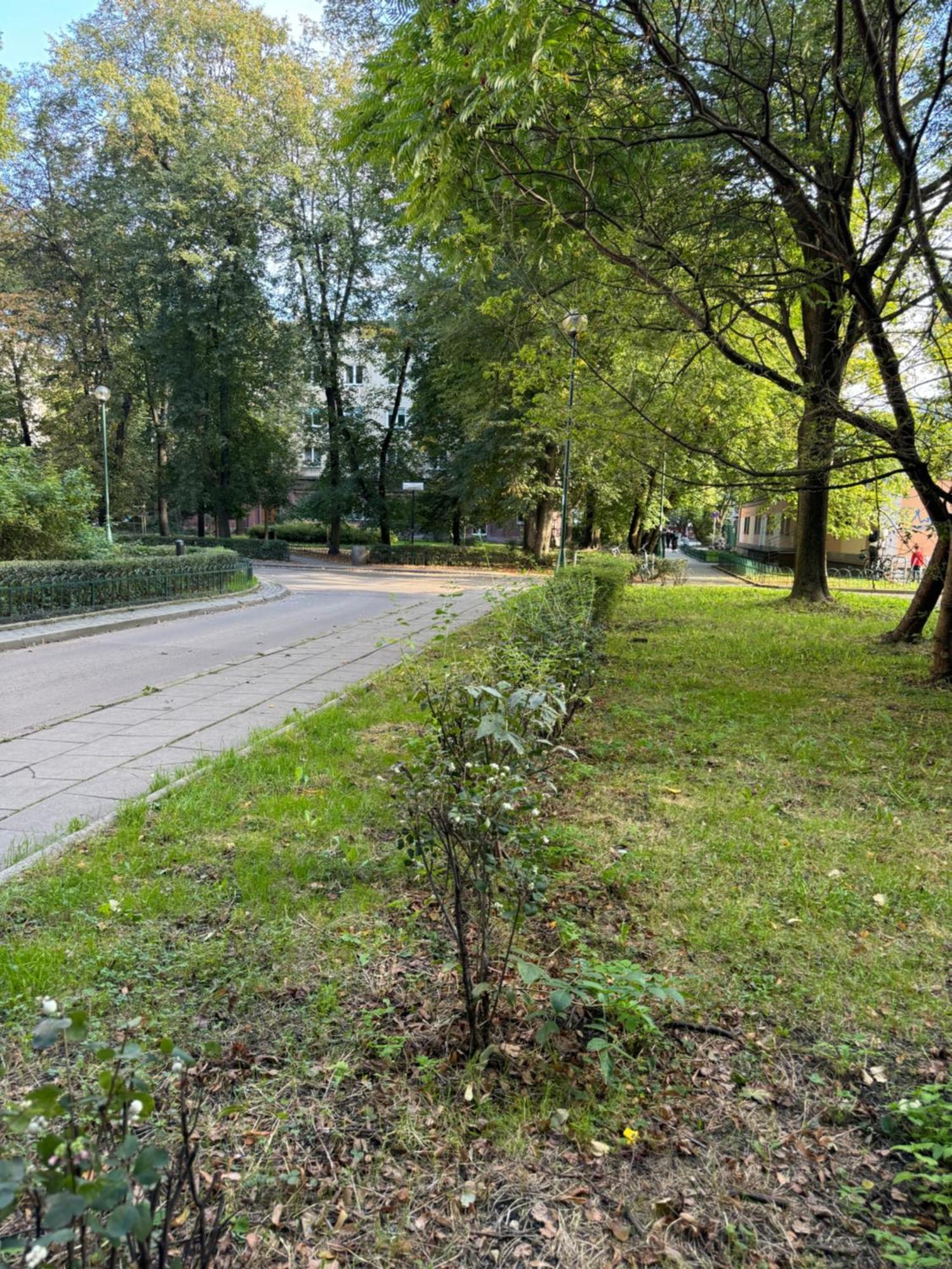 Juli Apart Cracovia Exterior foto